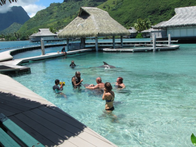 10886 - Moorea - The walk to the Intercontinental hotel and resort